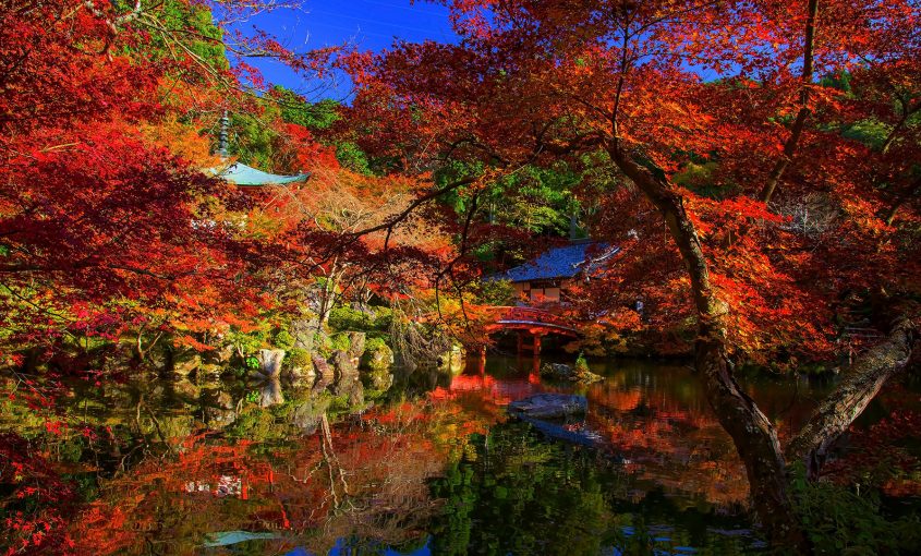 A Travel Reason for Every Season - Plan Japan
